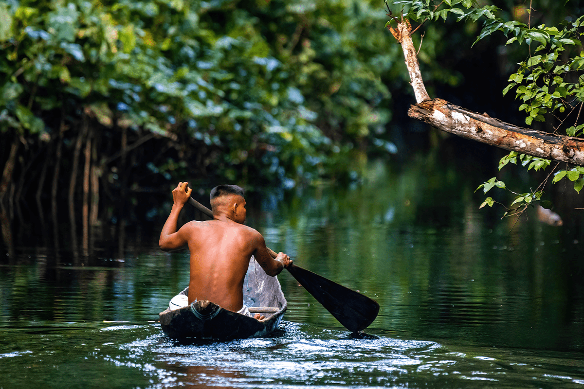 Deforestation in the Amazon Rainforest causes effects solutions